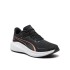 CHAMPION 36-41 NEGRO