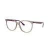 Ray Ban Rx4378v 8083