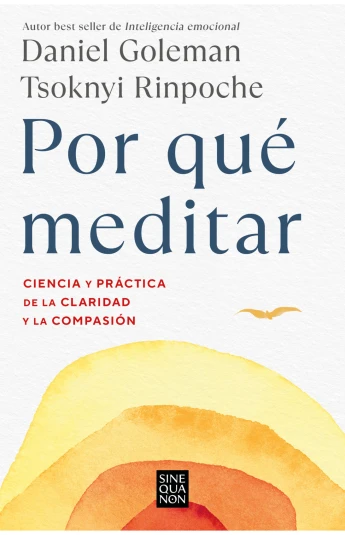 Por qué meditar Por qué meditar