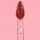 Labial Glossy Minimalist marrones Nº15