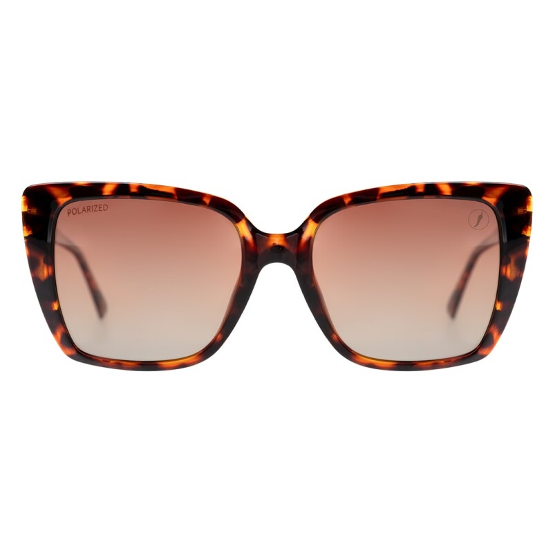 Lentes de Sol Chilli Beans Humaitá Animal Print