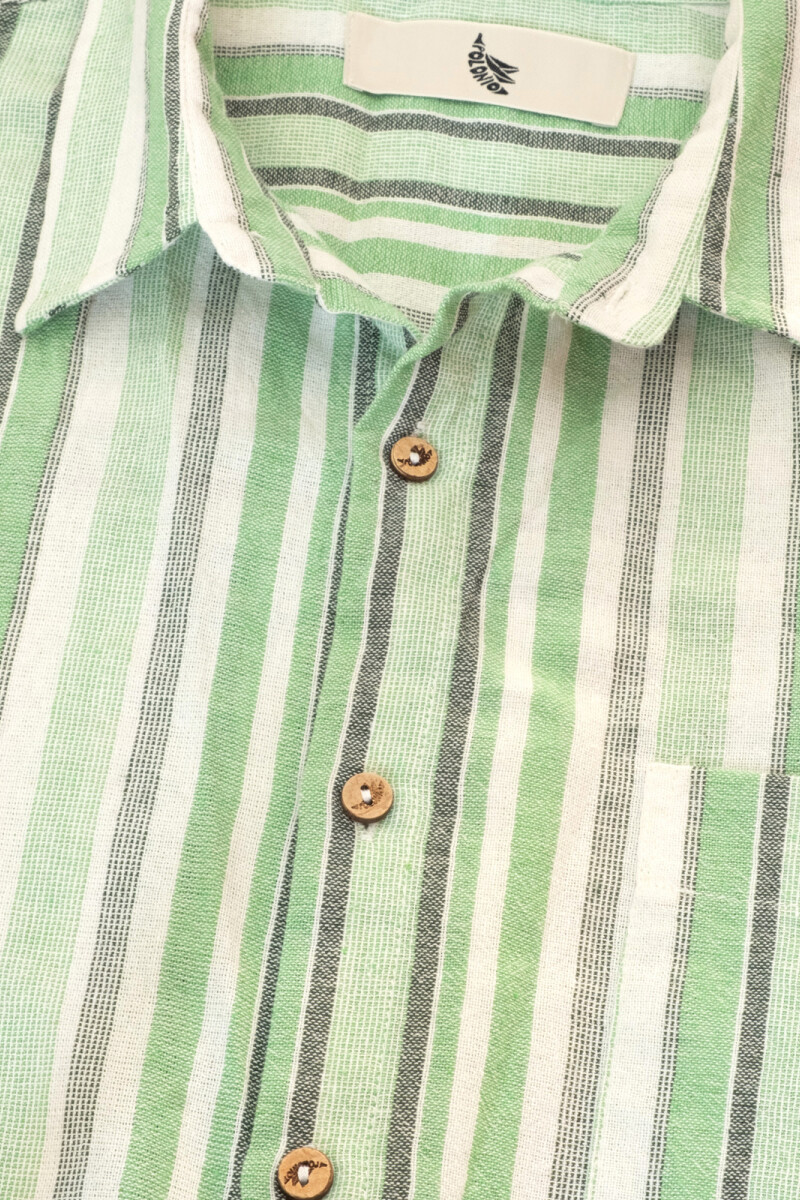 FEDE SHORT SLEEVE SHIRT STRIPE Green