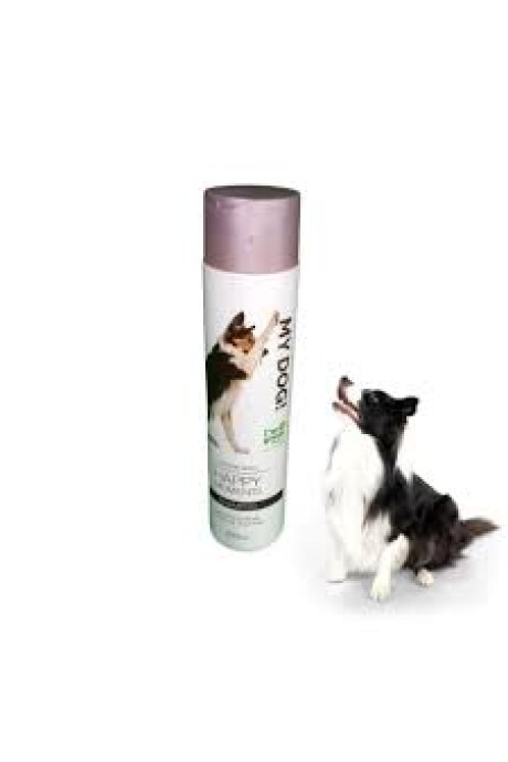 SHAMPOO NATURAL CAN WASH SHAMPOO NATURAL CAN WASH