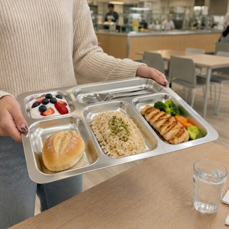 Bandeja de 5 Reparticiones de Acero Inoxidable Bandeja de 5 Reparticiones de Acero Inoxidable