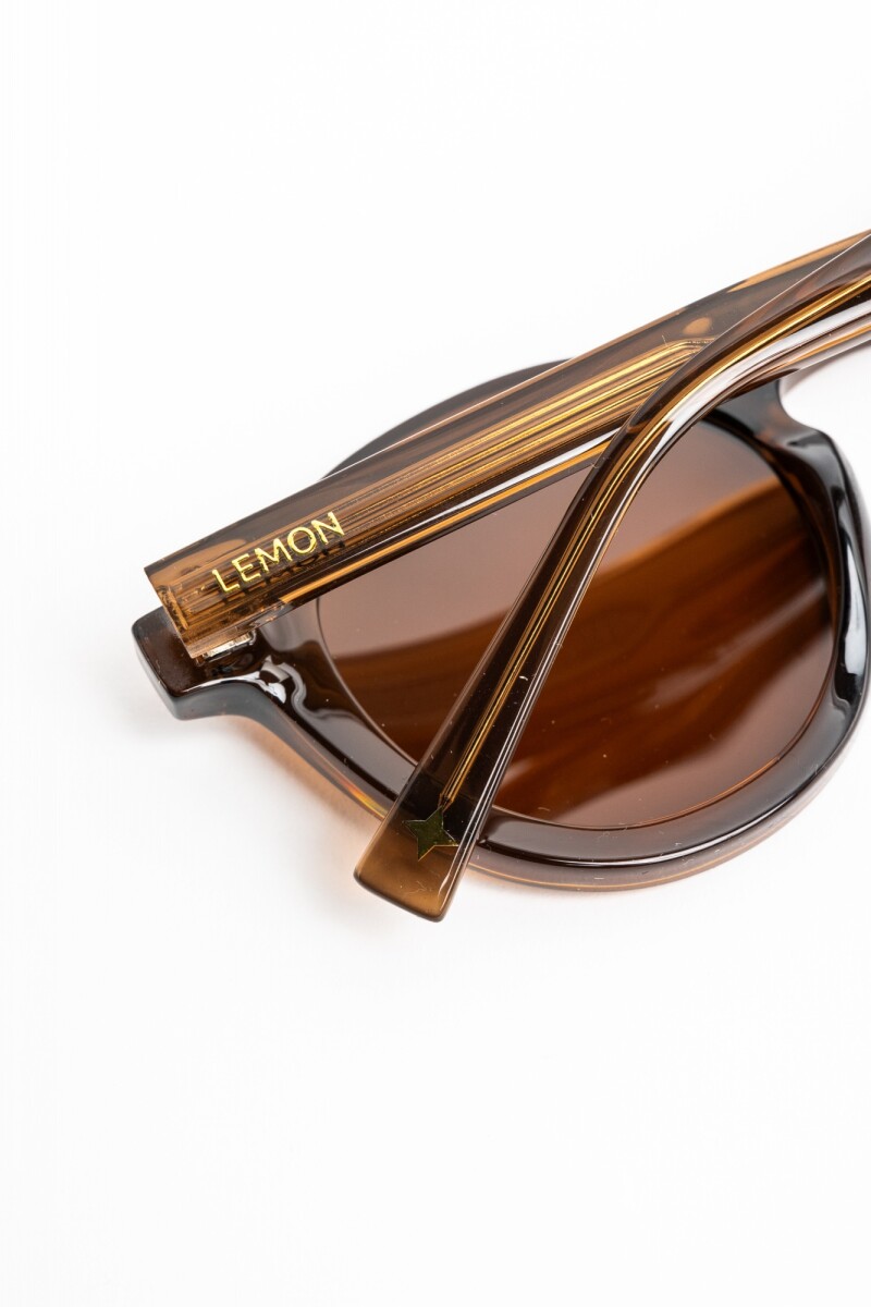 Lentes De Sol Polarizados Marron