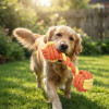 Juguete Para Perro De Cuerda Mancuerna Colores NARANJA