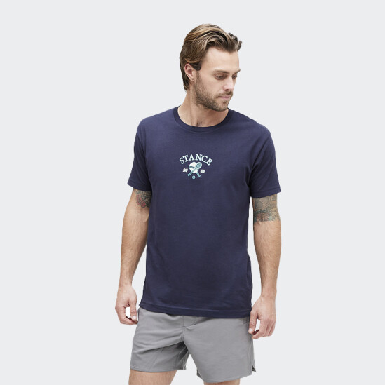 Remera Stance Pickled Azul