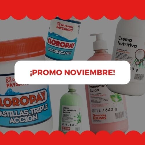 PROMO NOVIEMBRE