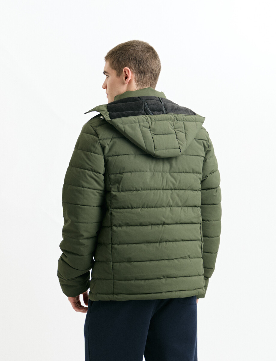 300412 CAMPERA HARRY Verde