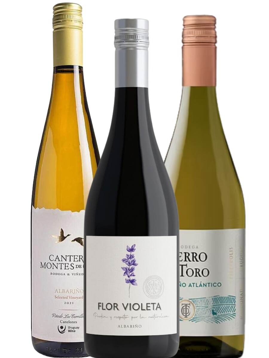 Pack Albariño Uy 