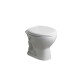 Inodoro Sin Mochila Andina Blanco Brillo Loza Sanitaria Baño