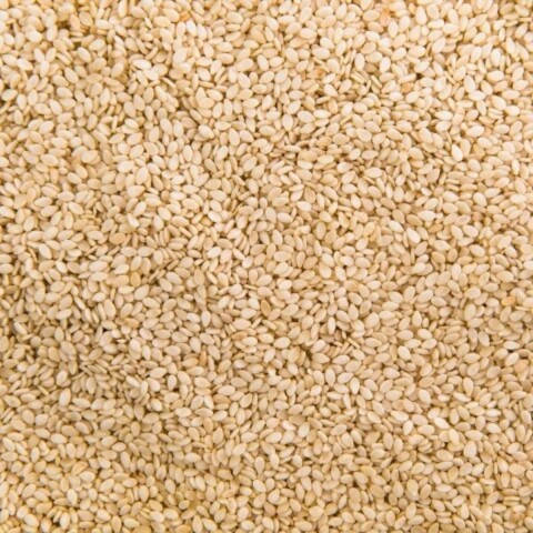 SEMILLAS DE SESAMO BLANCO - 1 KG Semillas De Sesamo Blanco - 1 Kg