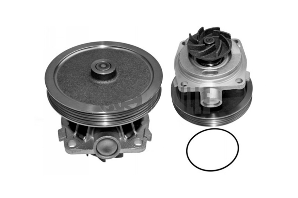 Bomba Agua s/Carcaza Fiat Siena/Tempra/Palio Week End 95-03 Bomba Agua s/Carcaza Fiat Siena/Tempra/Palio Week End 95-03