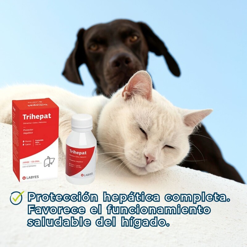 TRIHEPAT JARABE FRASCO 100 ML TRIHEPAT JARABE FRASCO 100 ML