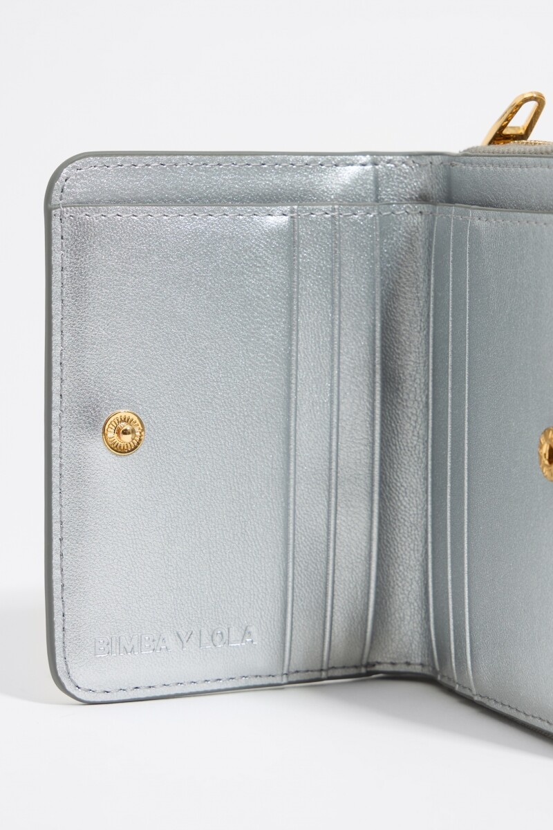 CARTERA Plata