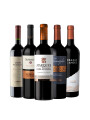 Pack Selección Best Seller de Junio x5 vinos tintos de alta gama Pack Selección Best Seller de Junio x5 vinos tintos de alta gama
