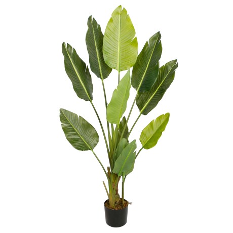STRELITZIA ARTIFICIAL VERDE ARTIFICIAL Y8480-11-11-3PS