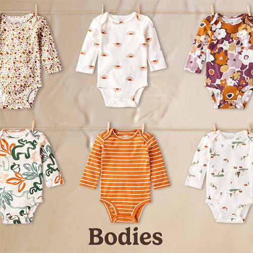Bodies