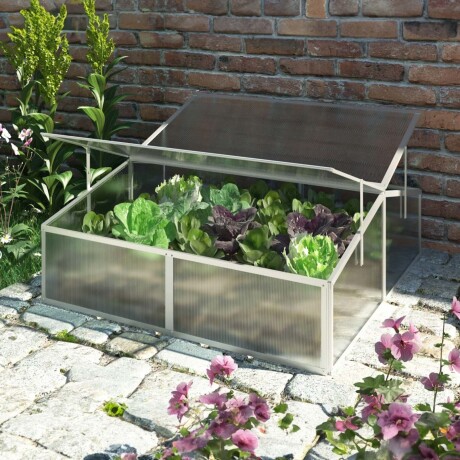 MINI INVERNADERO DOBLE POLICARBONATO TRANSPARENTE CADDY