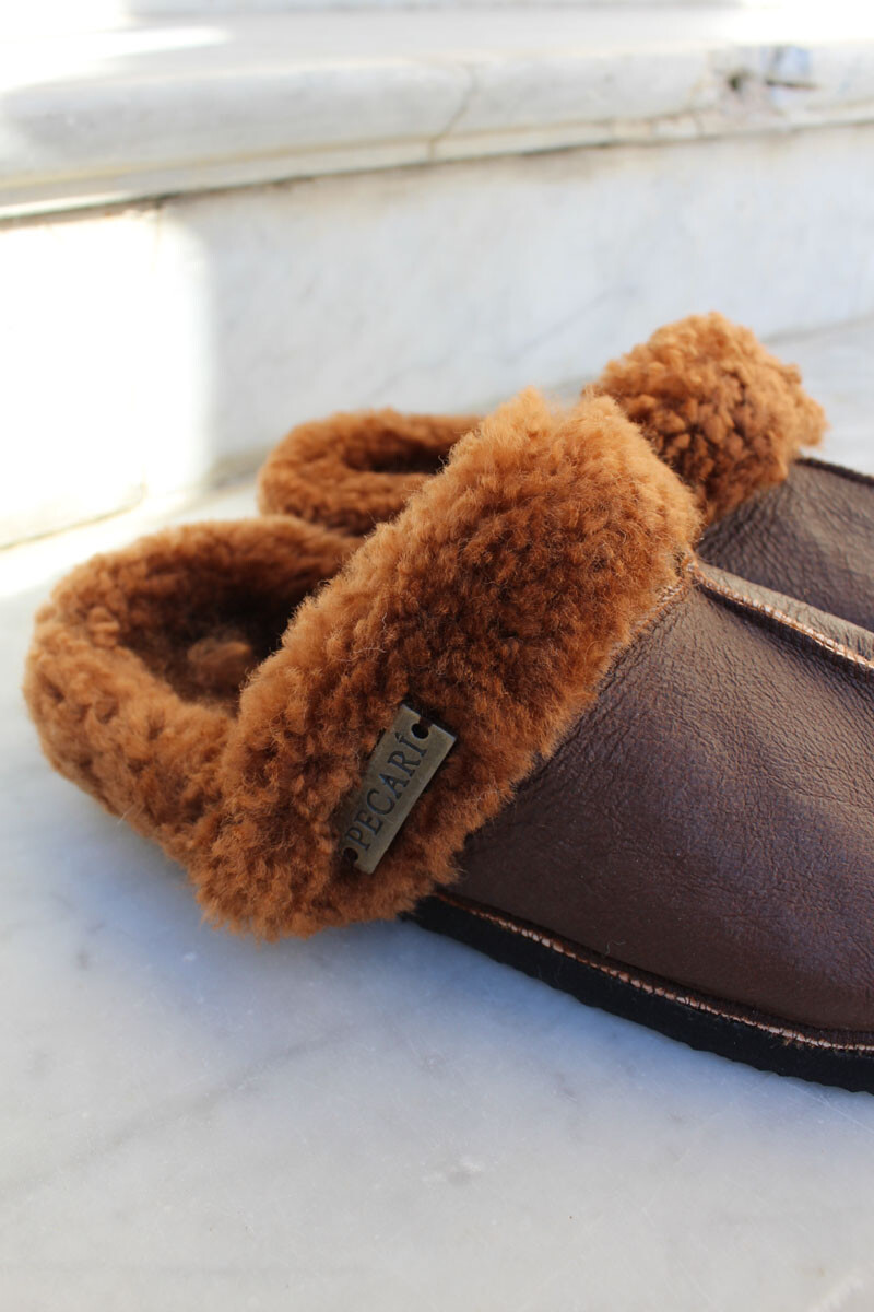 Pantufla borrego Oxido