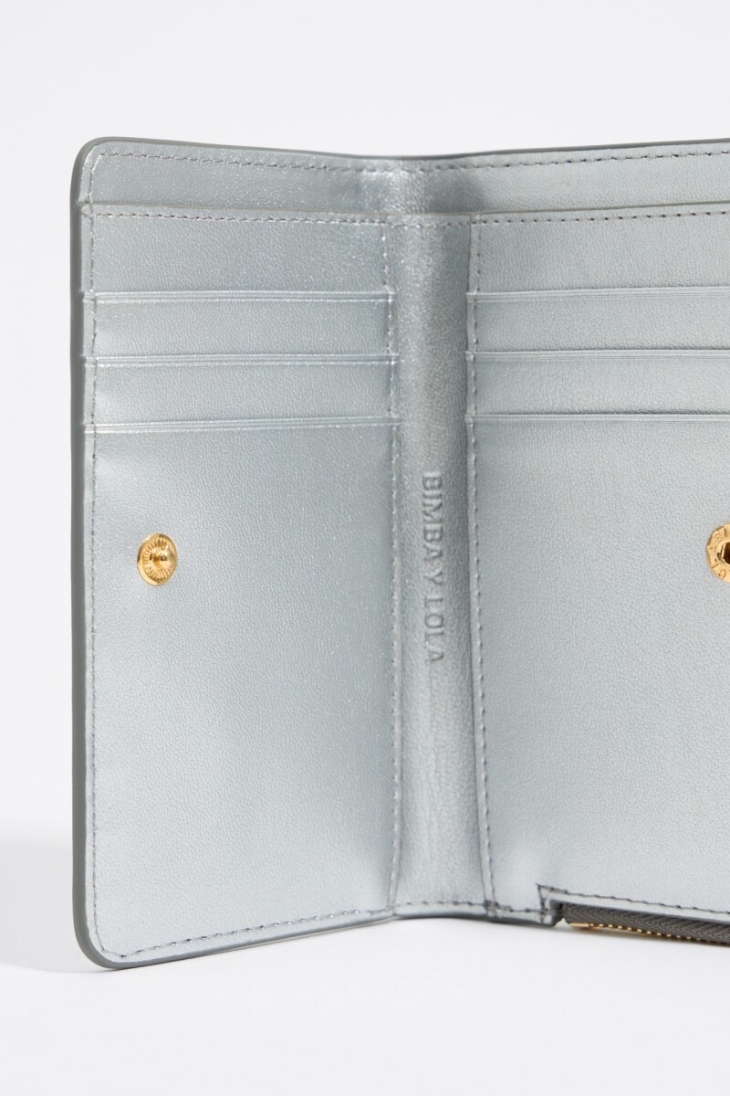 CARTERA Plata