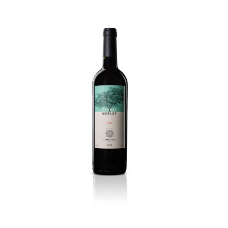 Botella Vino Tannat Merlot Campotinto 2022 X 750ML 001