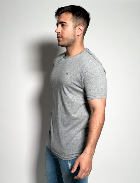 Remera Timo Gris