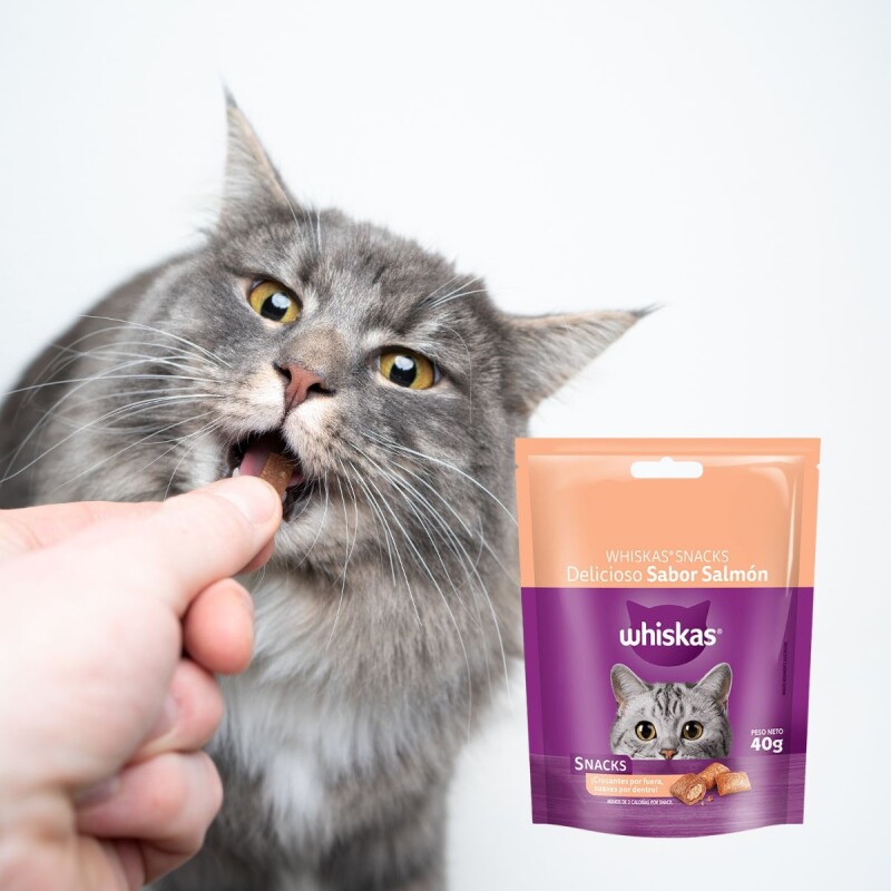 WHISKAS SNACKS SALMON 80 GRAMOS
