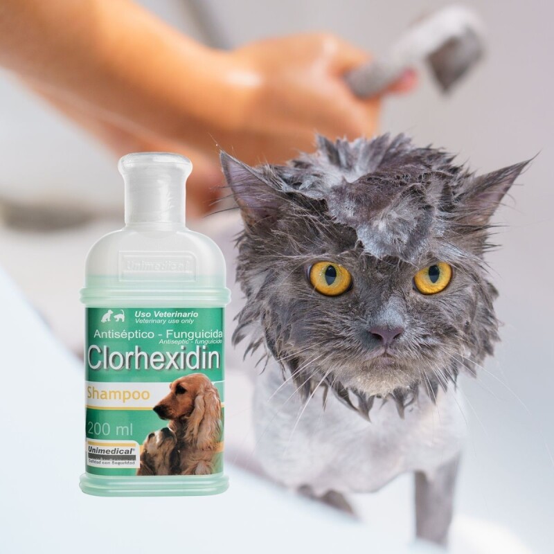CLORHEXIDIN SHAMPOO FCO 200 ML CLORHEXIDIN SHAMPOO FCO 200 ML