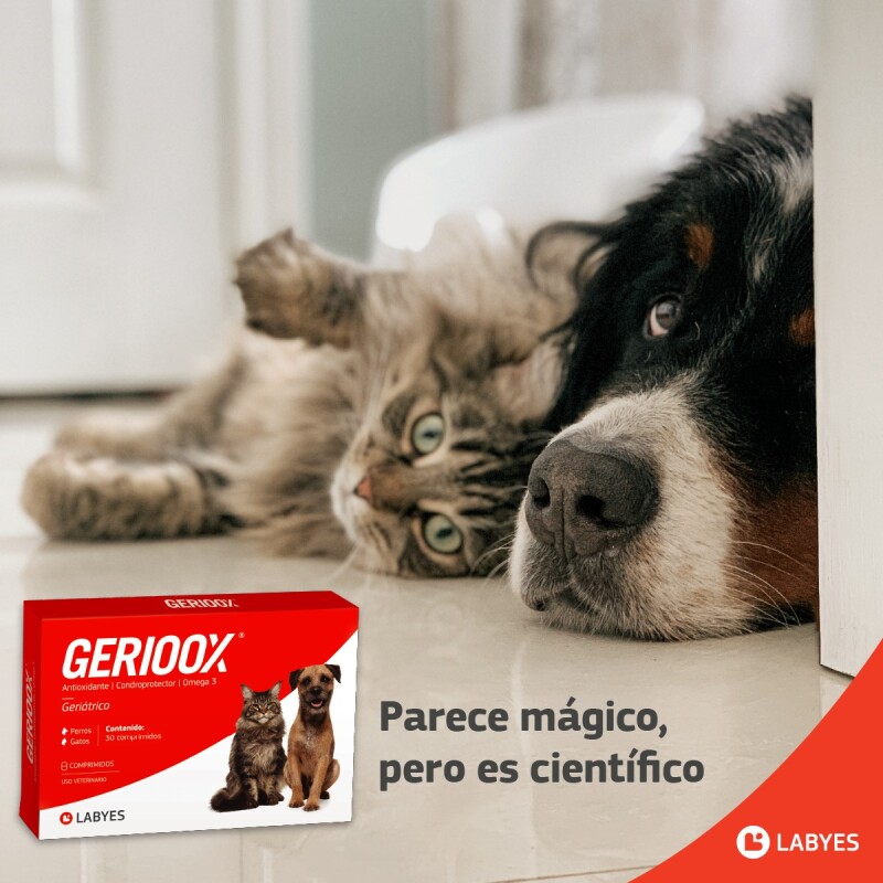 GERIOOX ANTIOXIDANTE CON OMEGA 3 CONDROPROTECTOR BLISTER 10 COMPRIMIDOS
