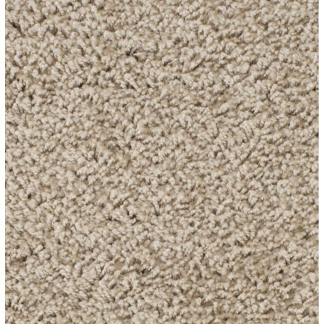 Alfombra VILLEPLE 160x230 shaggy beige Beige
