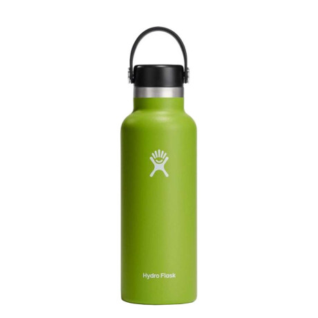 Botella Hydro Flask 18 Oz Standard Mouth Verde