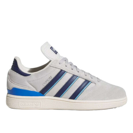 Championes Adidas Busenitz Gris