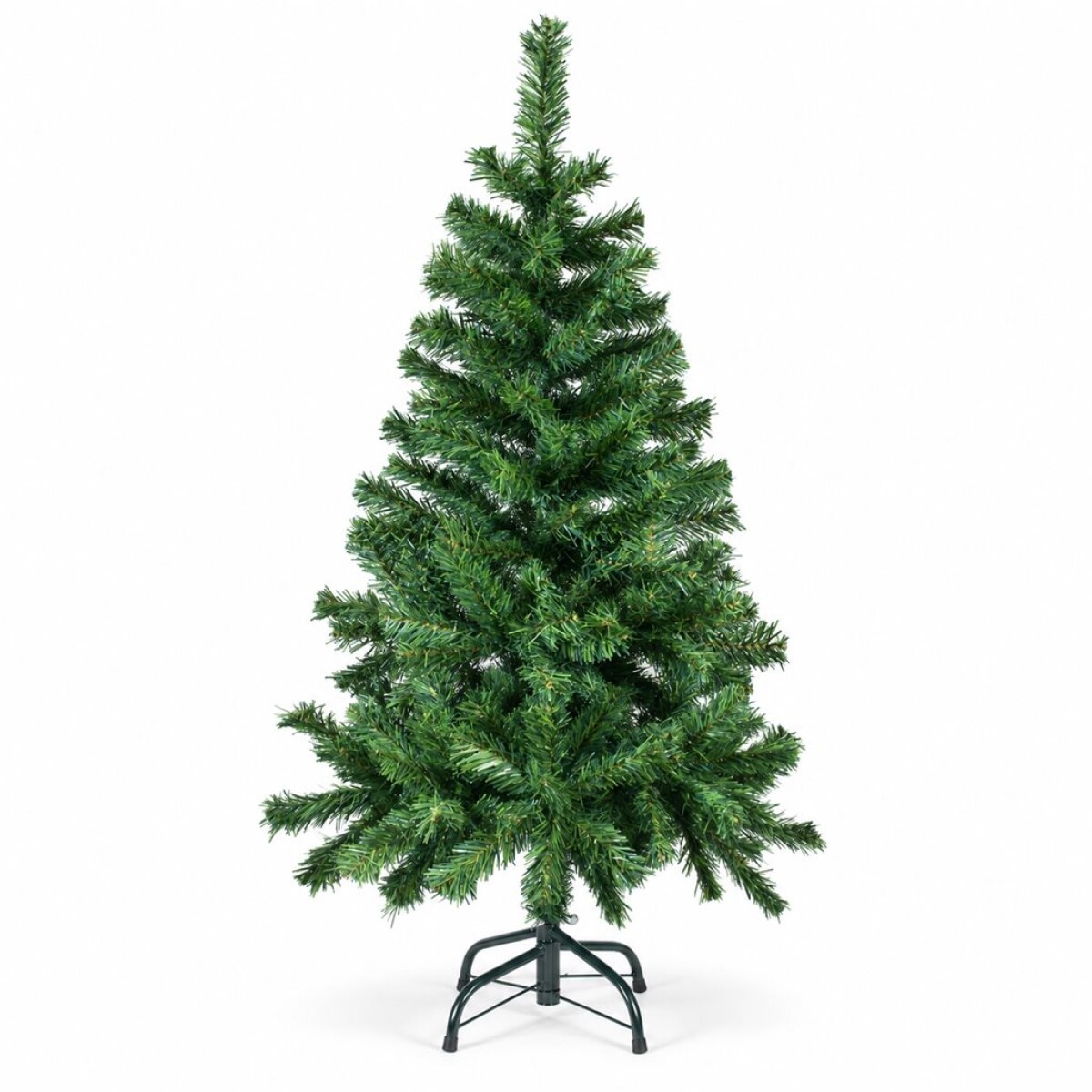 ARBOL MONTERREY 1.20 MT. 