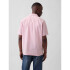 V-SS STANDARD LINEN COTTON RESORT COLLAR DUSTY PINK