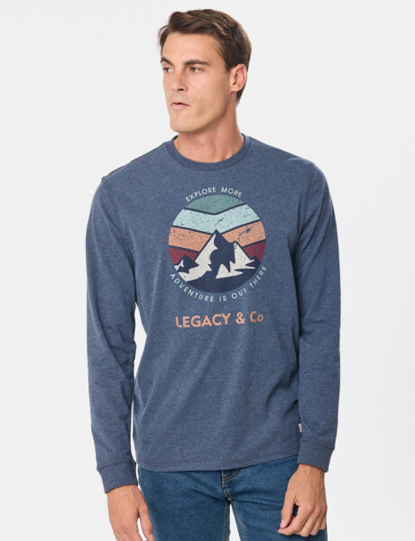 REMERA ESTAMPADA Azul