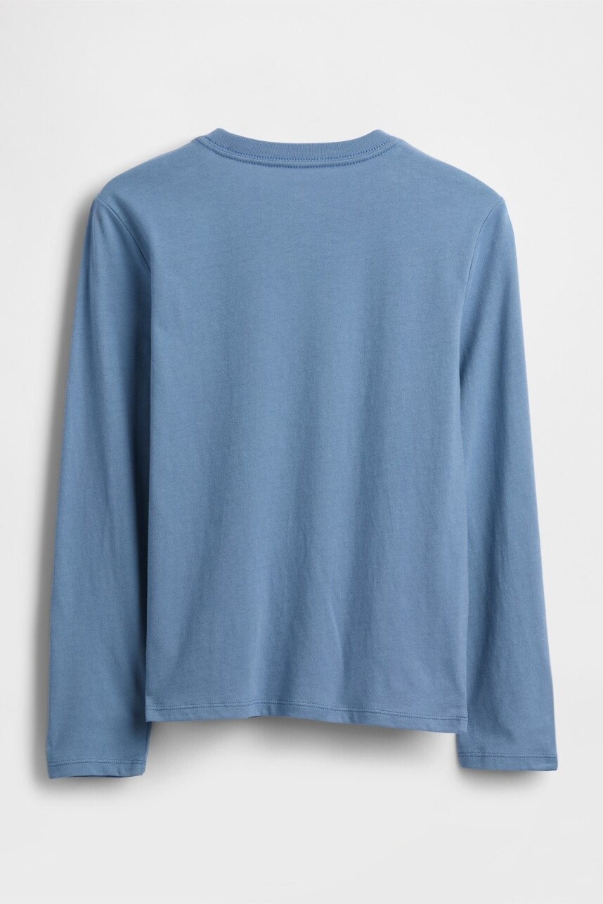 Remera Gráfico Niño Classic Jasper Blue
