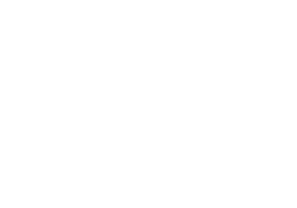 Distribucion Texto