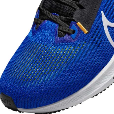 Championes Nike Pegasus 40 Blue