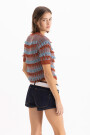 TOP ELISA Multicolor