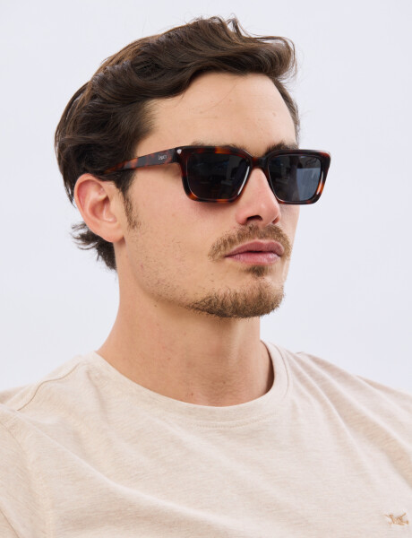 LENTES POLARIZADOS Marron
