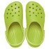 Classic Clog - Unisex Kiwi