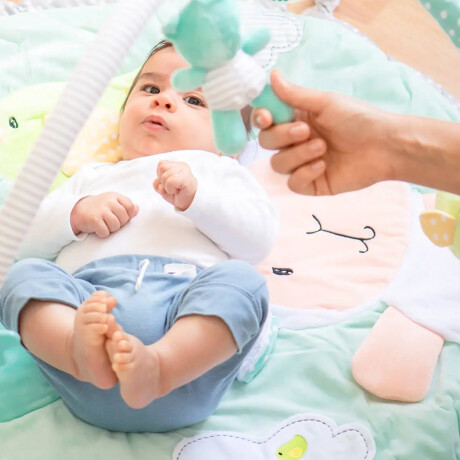 Gimnasio didáctico Carestino Amigos para bebés Gimnasio didáctico Carestino Amigos para bebés