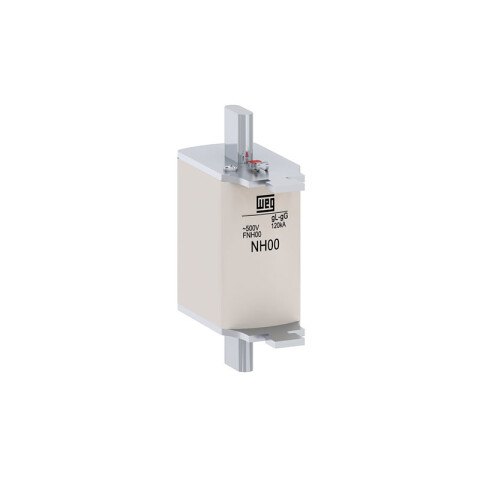 Fusible NH-00 80A GG WE9409