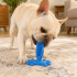 Juguete Para Perros Dental Ventosa Anti Sarro Resistente Color Azul