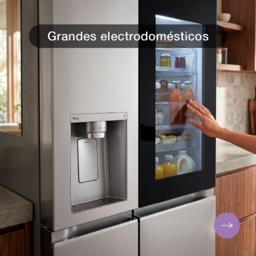 Grandes electrodoméstics