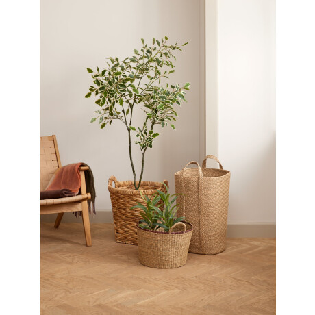 Cesta Para La Ropa Dan A37Xl37Xa55Cm