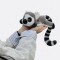 Peluches Animales Acostados Lémur