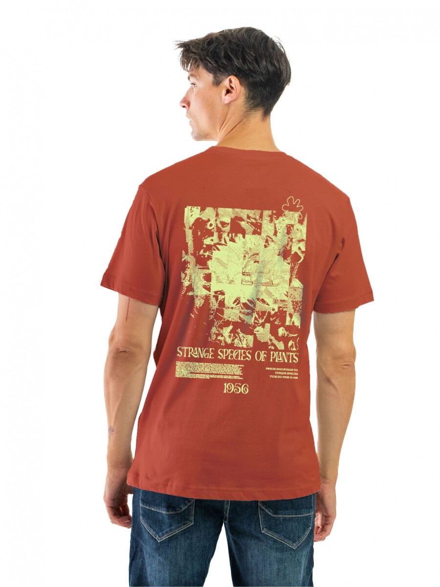Remera Estampada Cuello Base - Coral/ Diseño 119 