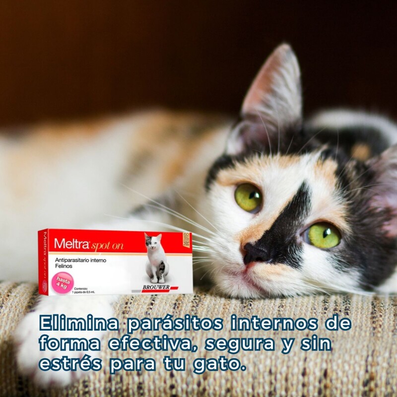 MELTRA SOPOT ON ANTIPARASITARIO INTERNO EN FORMA DE PIPETA PARA GATOS HASTA 4 KG MELTRA SOPOT ON ANTIPARASITARIO INTERNO EN FORMA DE PIPETA PARA GATOS HASTA 4 KG